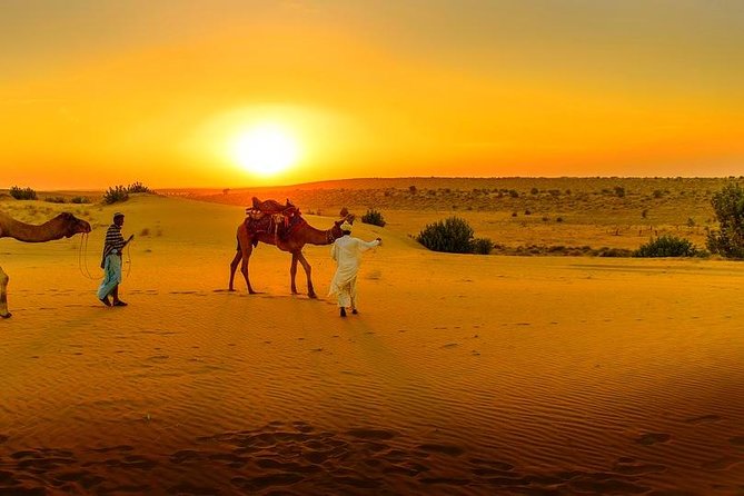 Marrakesh Private Full-Day Agafay Desert Tour (Mar ) - Accessibility and Expectations