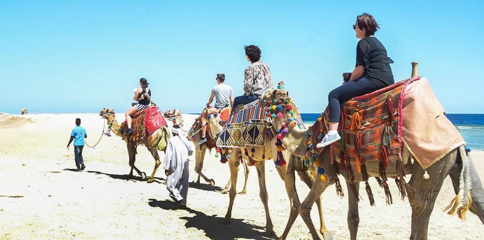 Marsa Alam: Sea and Desert Camel Riding Tour - Safety Briefing