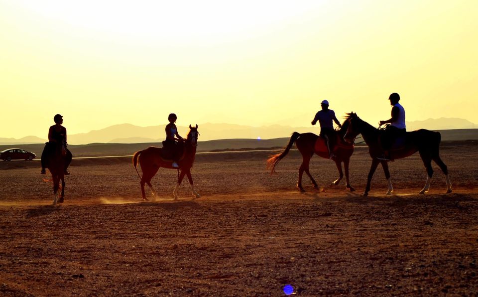 Marsa Alam: Sea and Desert Horse Riding Tour - Customer Reviews