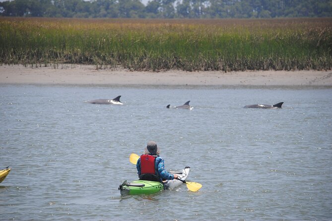 Marsh Kayaking Eco-Tour in Charleston via Small Group (Mar ) - Cancellation Policy