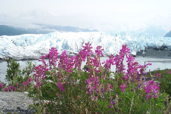 Matanuska Glacier Winter Tour - Glacier Exploration & Photography
