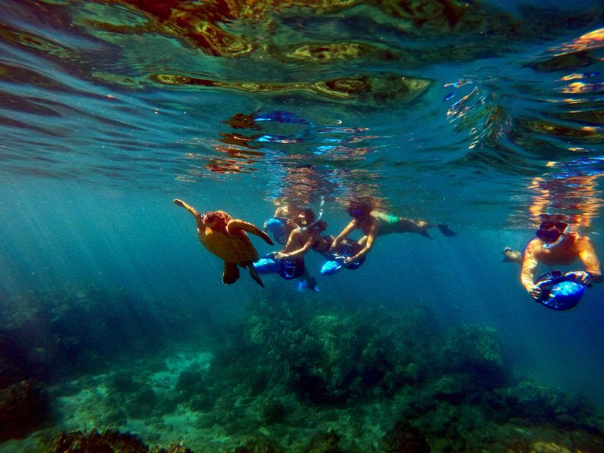 Maui: Guided Sea Scooter Snorkeling Tour - Reserve Now & Pay Later