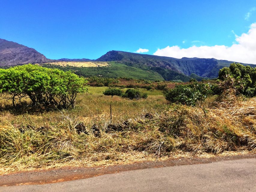 Maui: Private Customizable Road to Hana Tour With Transfer - Pickup Service and Arrival Details