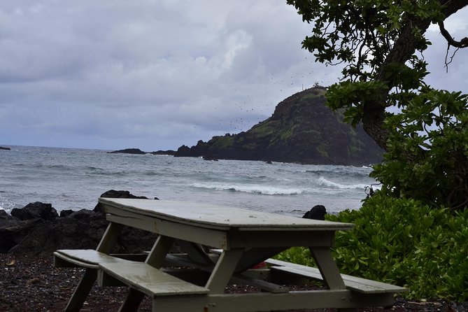 Maui Shore Excursion : Road to Hana Tour From Kaanapali - Unforgettable Tour Highlights