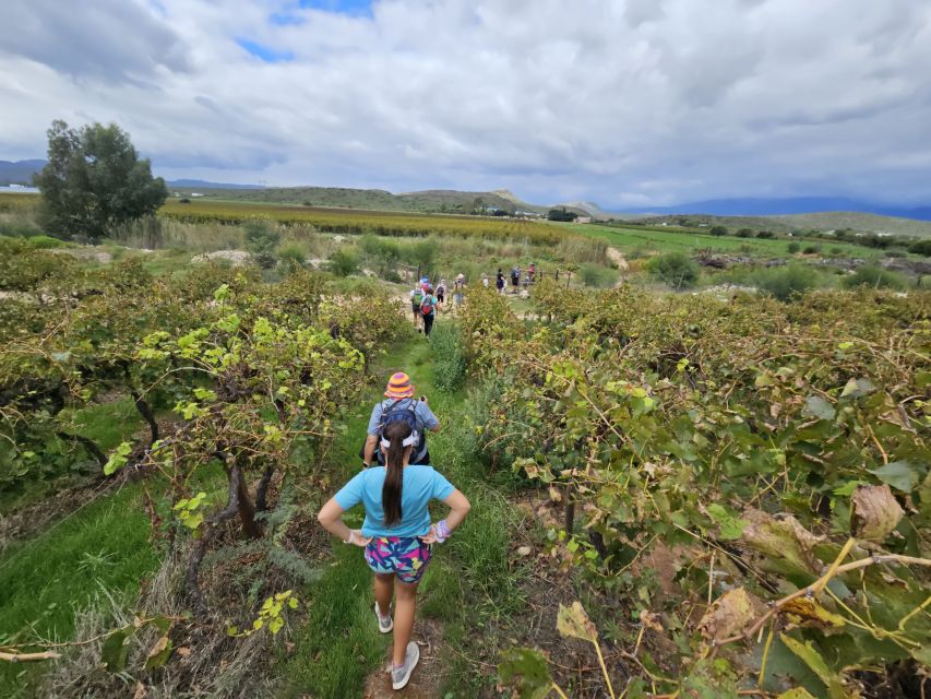 Mcgregor: Fossil Hills 3 Day Guided Wine Walk - Common questions