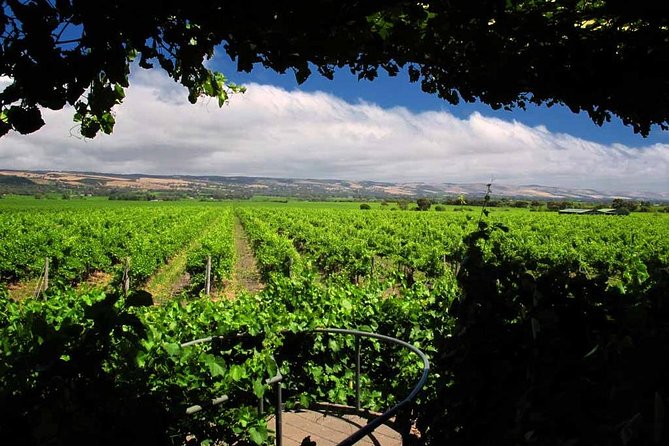 Mclaren Vale Winery Small Group Tour With Wine Tasting and Lunch - Common questions