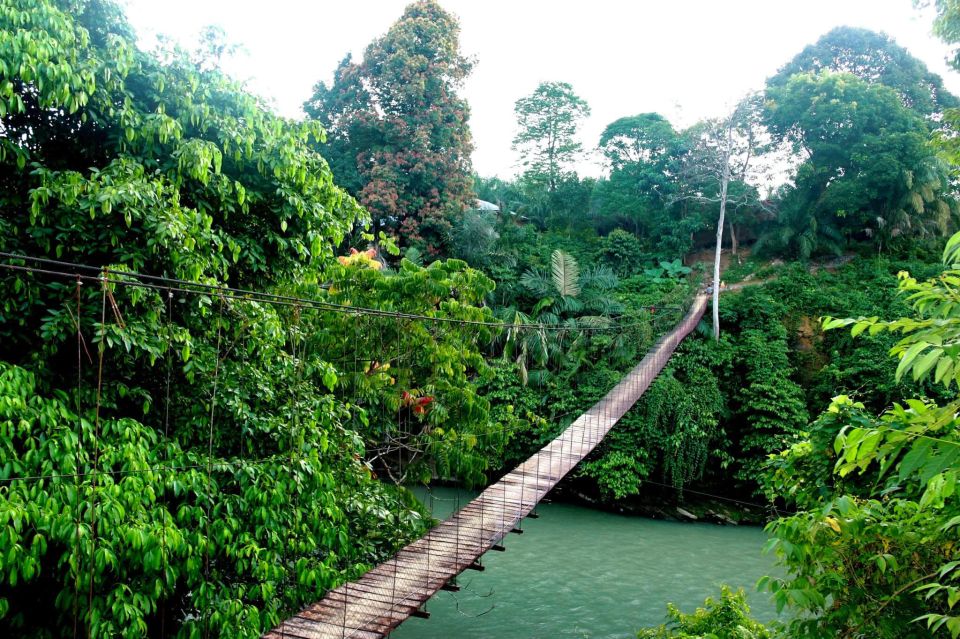 Medan: Mount Leuser National Park Full-Day Trip - Directions