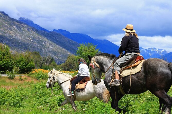 Medellin: Horseback Riding Adventure In Nature (Dont Overpay) - Cancellation Policy Details
