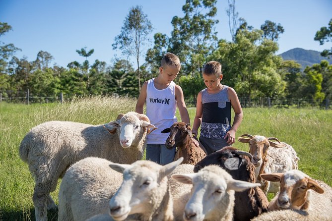 Meet the Animals: Small-Group Farm Tour, Brisbane (Mar ) - Inclusions and Fees