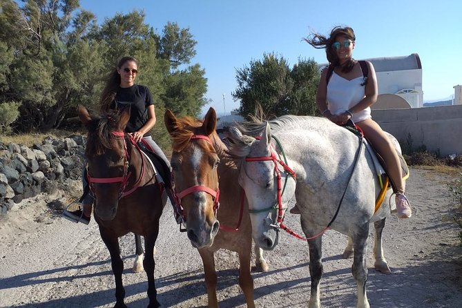 Megalochori Horseback Excursion  - Santorini - Cancellation Policy Details