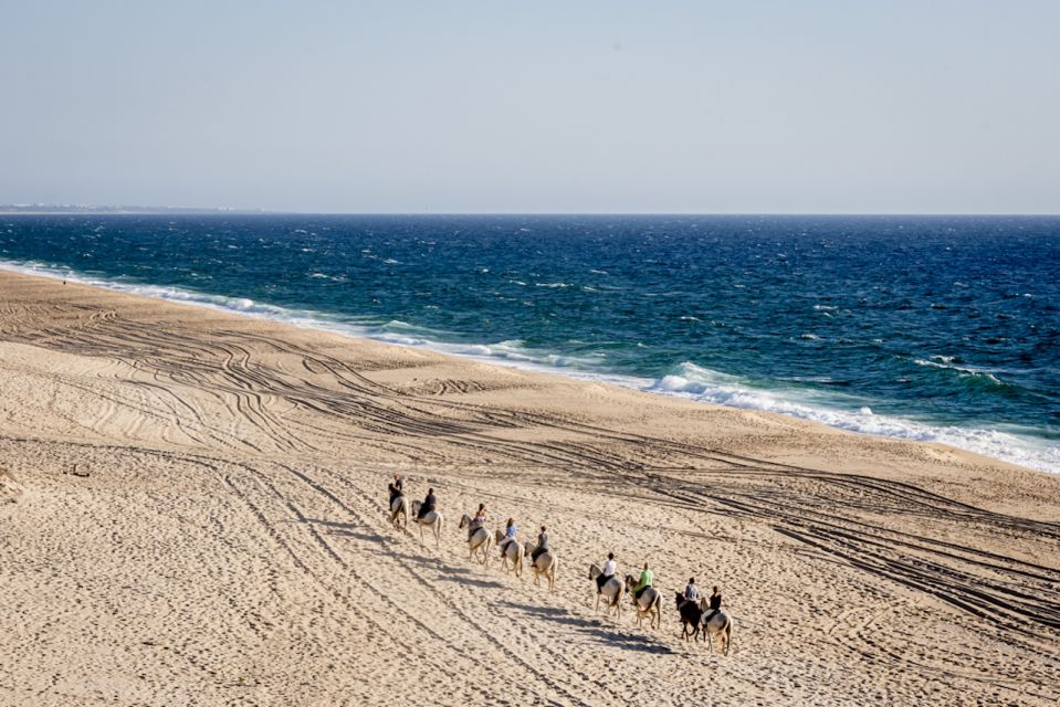 Melides: Horse Riding on the Beach With Wine Tasting - Review Summary