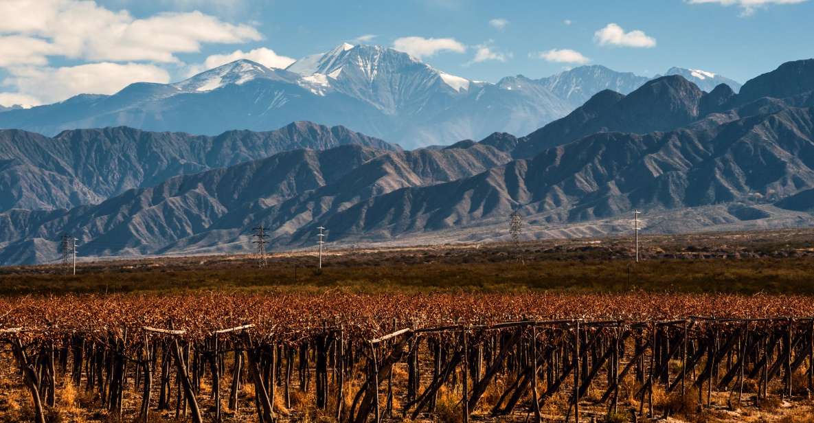 Mendoza: Full Day Wine Tour With 3 Course Lunch - Common questions