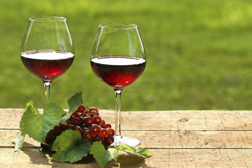 Mendoza: Half-Day Wine Tour With Tastings and Lunch - Full Description