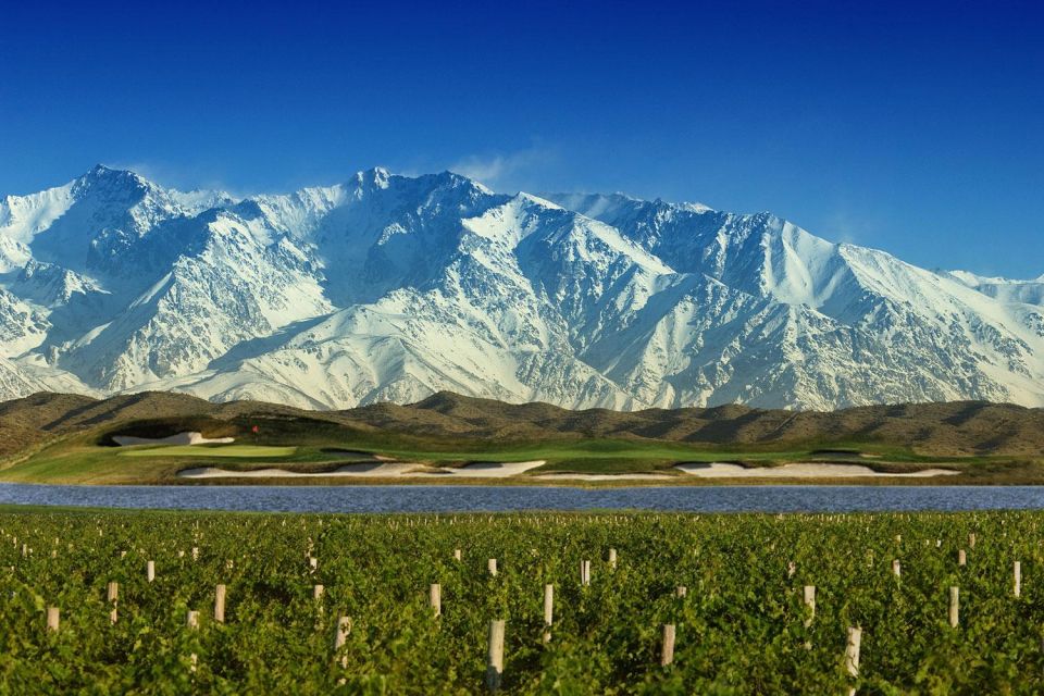 Mendoza: Wine Roads Half‐Day Tour With Regional Lunch - Last Words