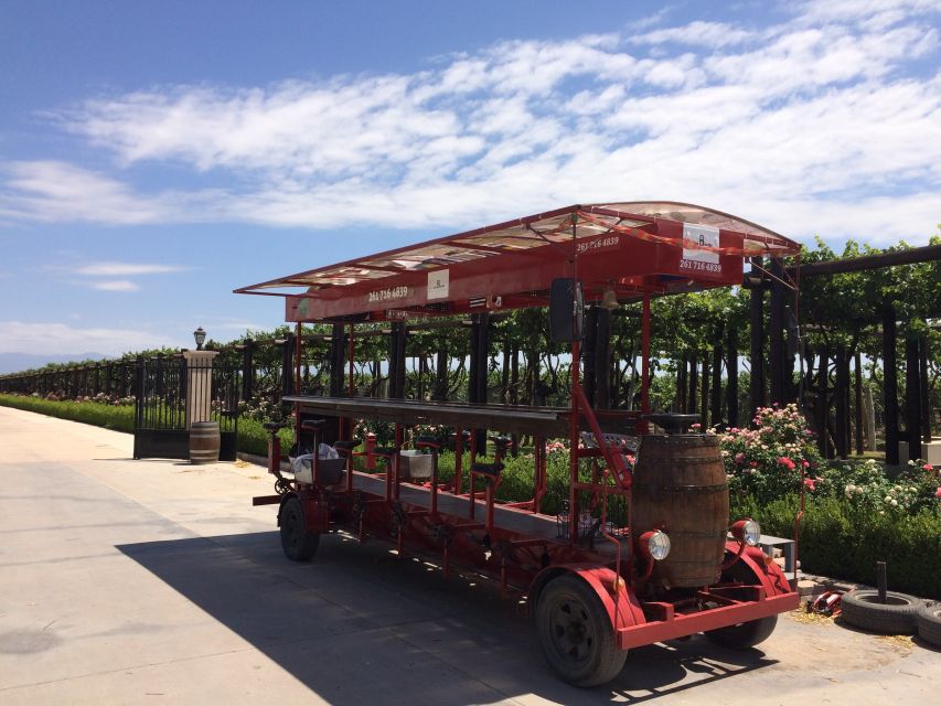 Mendoza: Winebike Tasting Tour With Optional Lunch - Common questions