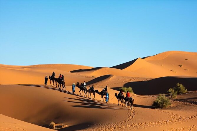 Merzouga Camel Ride & Overnight Desert Camps - Customer Reviews