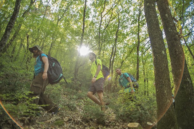 Meteora Rock Climbing Introduction - Optional Pick up Trikala Kalambaka Kastraki - Pricing and Booking Information