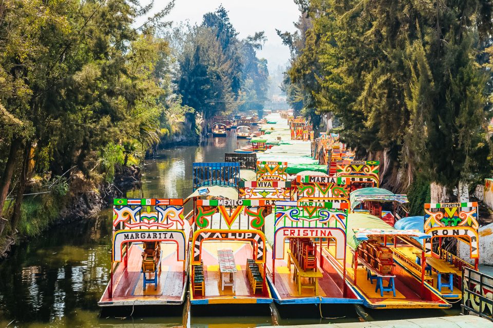 Mexico City: Xochimilco, Casa Azul, Coyoacán & UNAM Tour - Pickup and Transportation Details