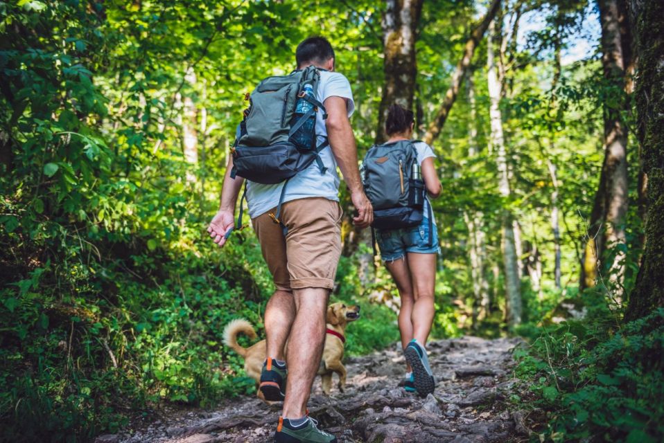 Miches : Los Haitises Cacao & Coffee Hike/Boat Tour - Wildlife and Nature