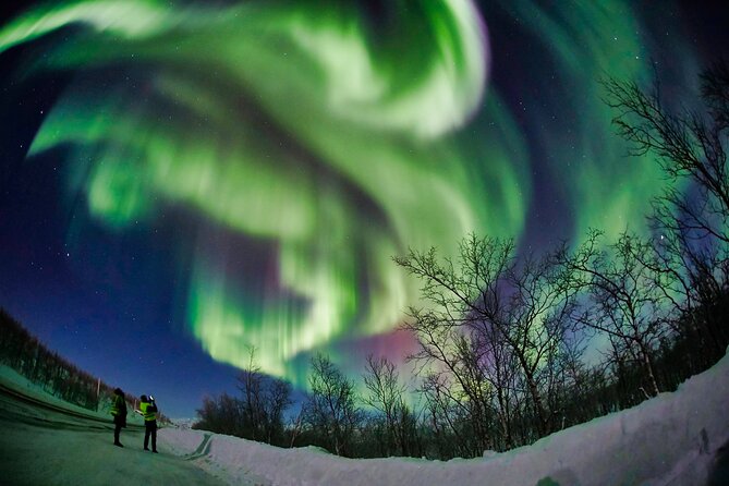 Minivan Northern Lights Excursion (Max 8 Guests per Minivan) - Guide Expertise