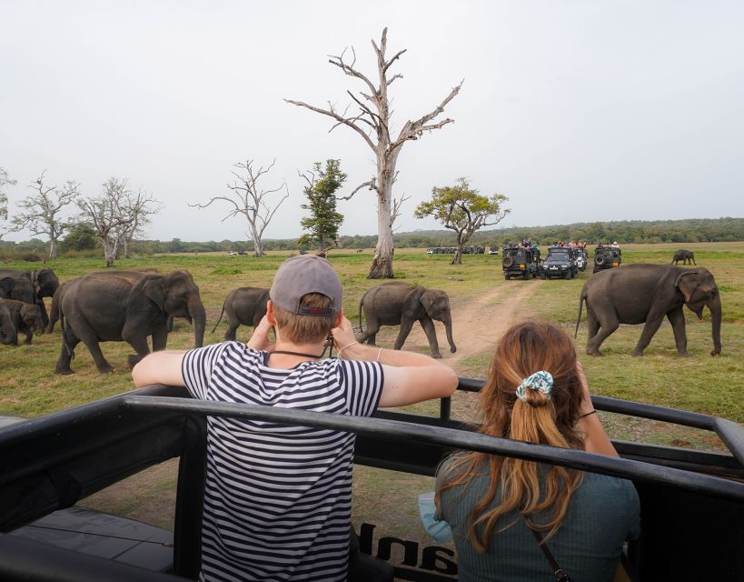 Minneriya National Park Half Day Sri Lanka Jeep Safari - Safari Highlights