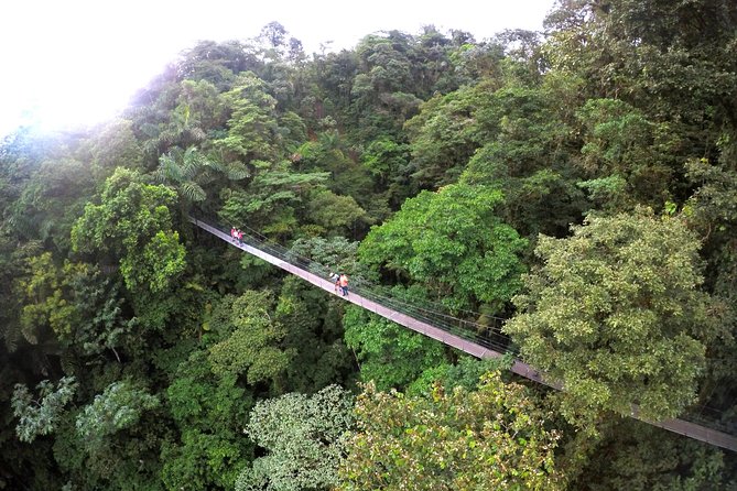 Mistico Park Hanging Bridges Guided Tour - Reviews and Ratings