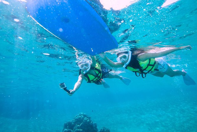 Miyakojima / Snorkel Tour to Swim With Sea Turtles - Reviews