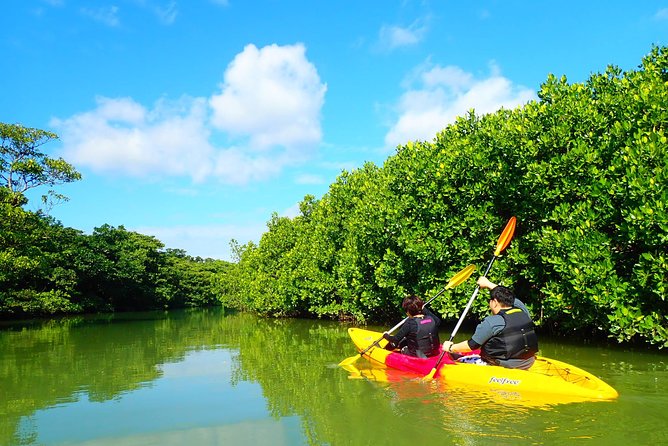 Miyara River 90-Minute Small-Group SUP or Canoe Tour (Mar ) - Additional Information