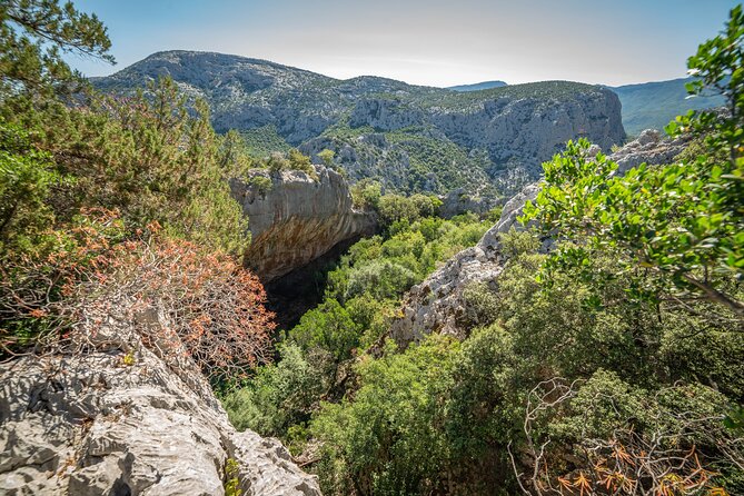 Monte Tiscali Hiking Day Trip From Orosei (Mar ) - Booking and Pricing Information