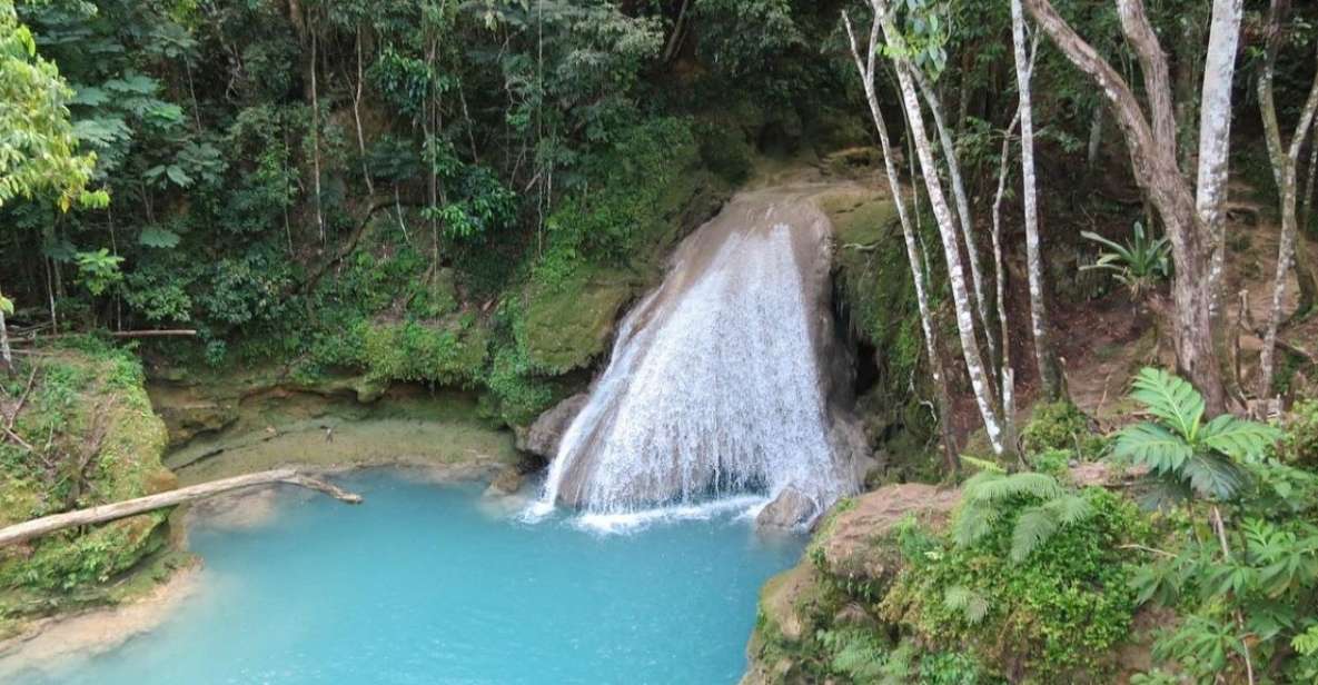 Montego Bay: Chuck Norris Secret Falls Tour With Lunch - Lunch Experience at a Jerk Center