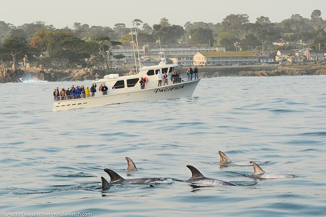 Monterey, California Family-Friendly Whale-Watching Boat Tour (Mar ) - Knowledgeable Tour and Boat Staff