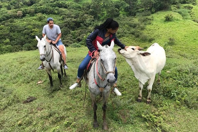 Monteverde Cloud Forest Horseback Riding - Additional Resources and Assistance