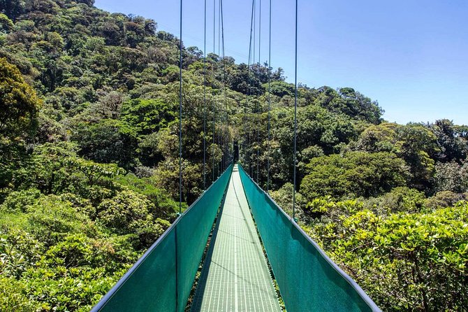 Monteverde Sky Tram & Hanging Bridges Cloud Forest Tour From San Jose - Memorable Experiences