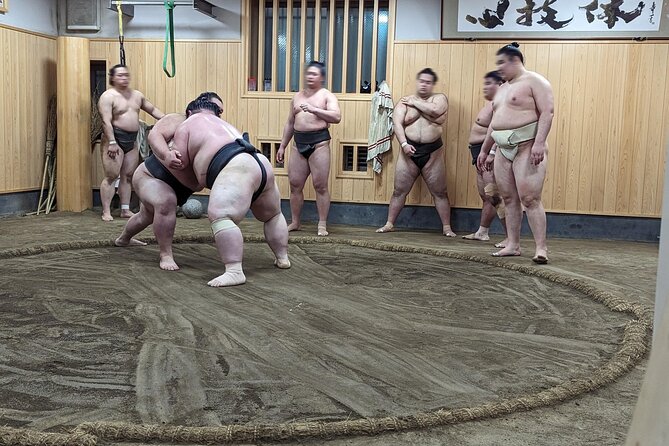 Morning Sumo Practice Viewing in Tokyo - Customer Reviews