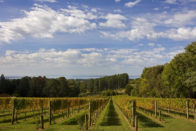 Mornington Peninsula Wine and Food Day Tour From Melbourne - Tips for a Memorable Experience