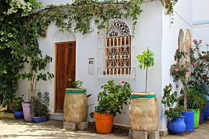 Morocco:Tangier Private Tour From Malaga Province or Tarifa - Traveler Reviews and Recommendations