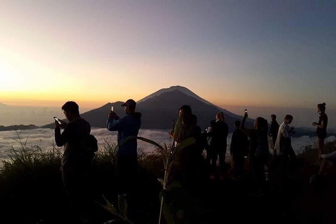 Mount Batur Sunrise Trekking - Wildlife and Natural Surroundings