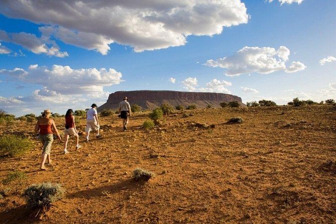 Mount Conner 4WD Small Group Tour From Ayers Rock Including Dinner - Traveler Reviews and Ratings
