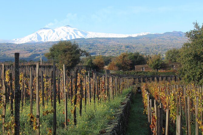 Mount Etna Hike Plus Food and Wine Tour  - Sicily - Last Words
