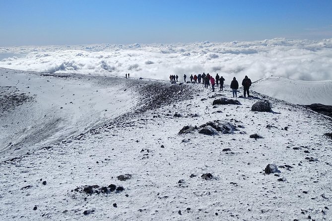Mount Etna Small-Group Volcano Excursion (Mar ) - Reviews and Testimonials