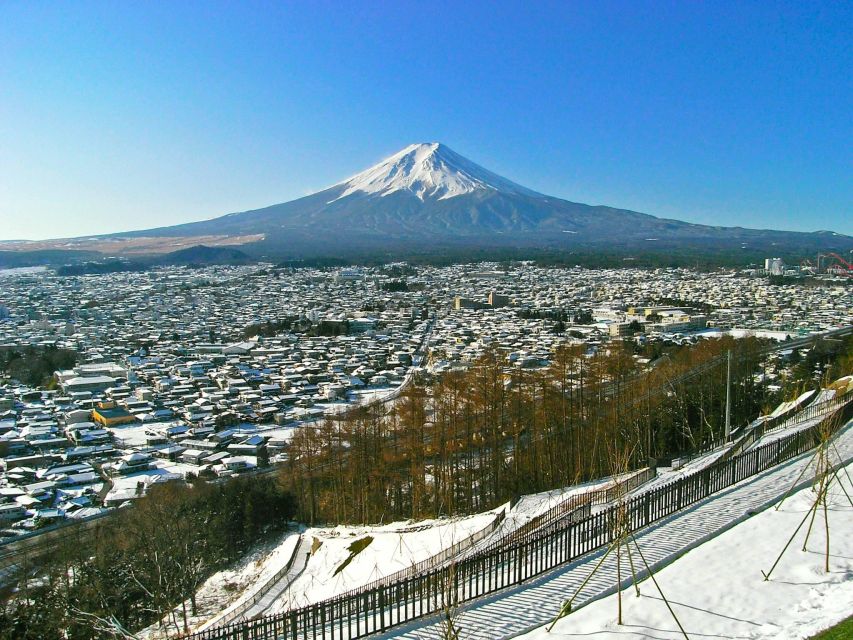Mount Fuji Full Day Private Tour (English Speaking Driver) - Participant Selection and Date
