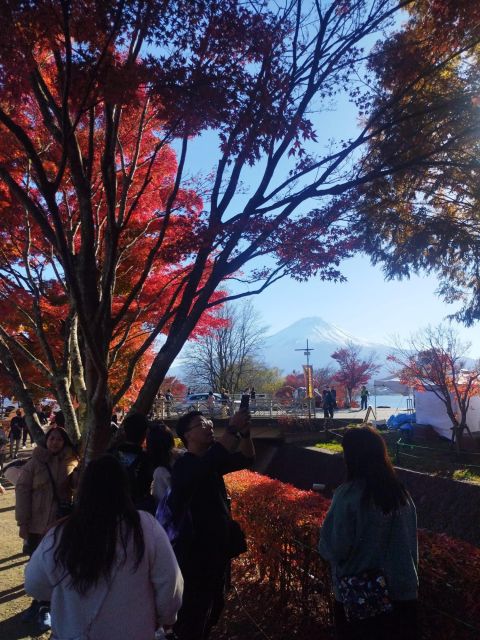 Mount Fuji-Lake Kawaguchi Private Tour With Bilingual Driver - Directions