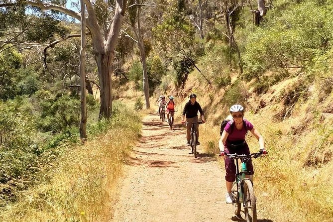Mount Lofty Descent Bike Tour From Adelaide - Tour Highlights