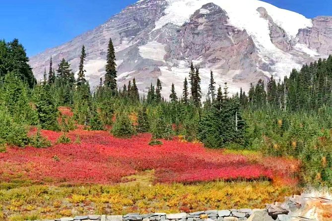 Mount Rainier National Park Day Tour From Seattle - Location and Attractions