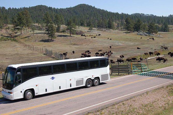 Mount Rushmore and Black Hills Bus Tour With Live Commentary - Driver/Guide Skills and Customer Reviews