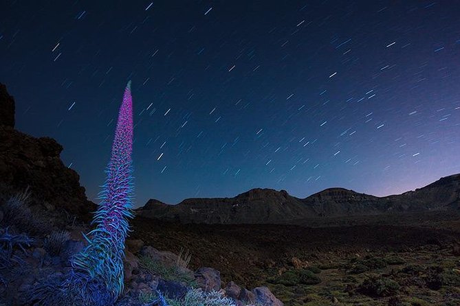 Mount Teide Night Tour: Stargazing, Dinner and Hotel Pick up - Additional Information and Tips