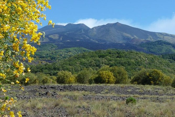 Mt. Etna Nature and Flavors Half Day Tour From Catania - Costs and Recommendations