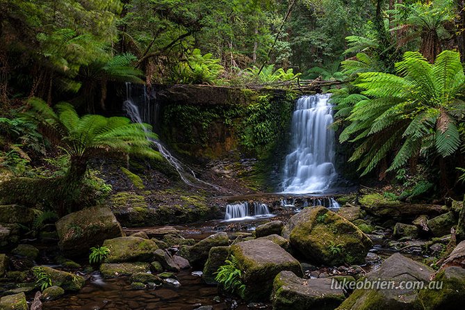 Mt Field and Styx Valley Photography Tour - Cancellation Policy Details