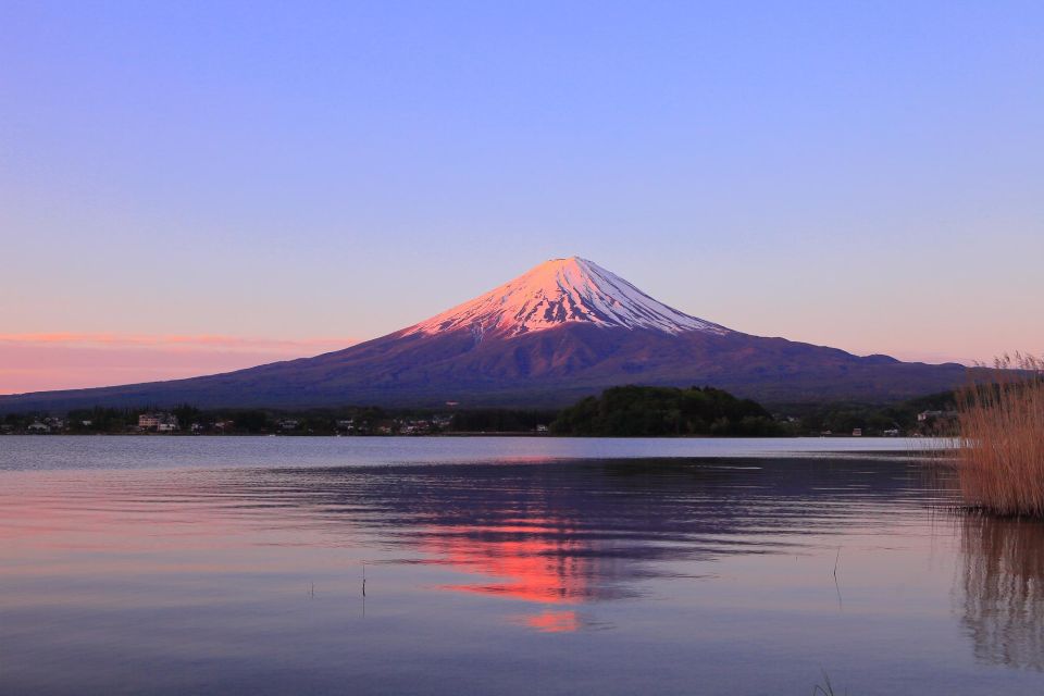 Mt Fuji & Arakura Sengen Shrine, Lake Kawaguchi - Customer Reviews and Recommendations