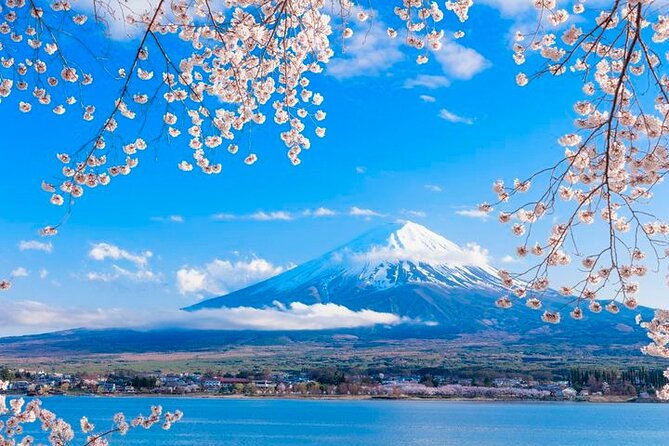 Mt. Fuji Area Tour Tokyo DEP: English Speaking Driver, No Guide - Customer Support Information